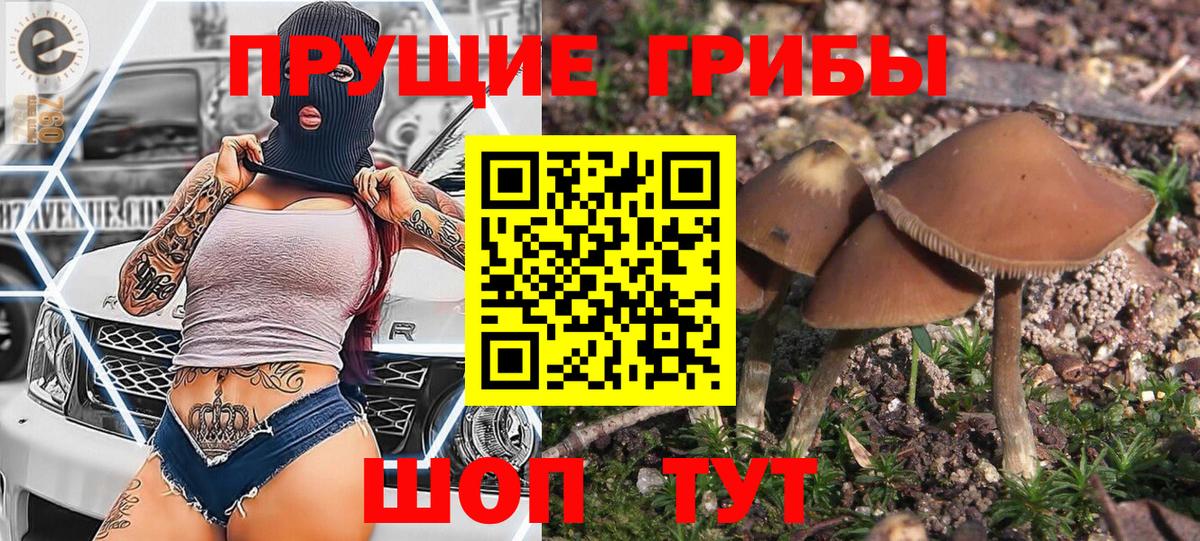 Псилоцибиновые грибы Magic Shrooms Искитим