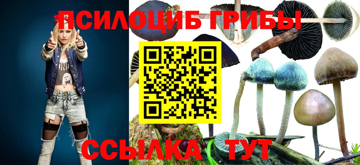 Псилоцибиновые грибы GOLDEN TEACHER  Вход с VPN  Галлюциногенные грибы прущие грибы  Искитим 